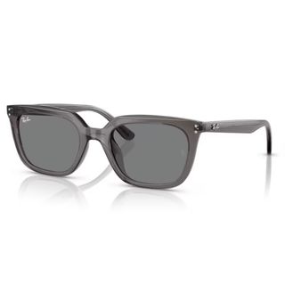 Ray Ban Sonnenbrille RB 4439D 6675/87